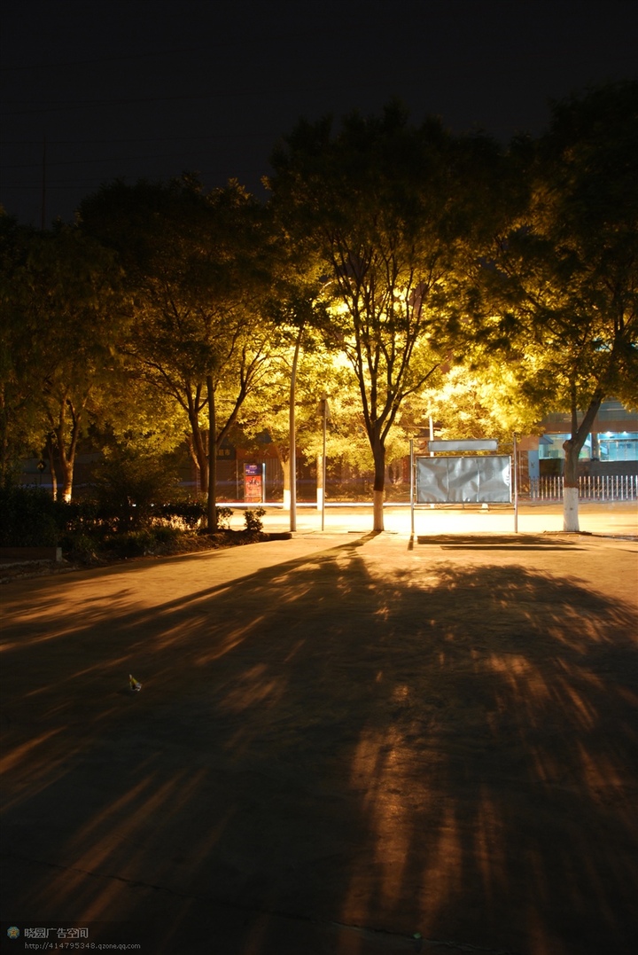 路灯下的树(; 无意中的夜景 路灯下的树( 0 / 0 ); 路灯下的照片