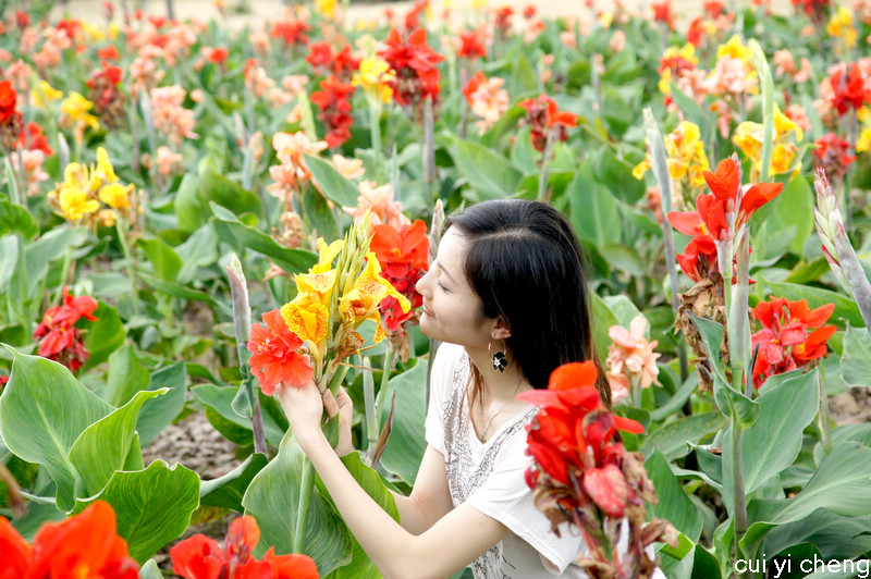 花中美女