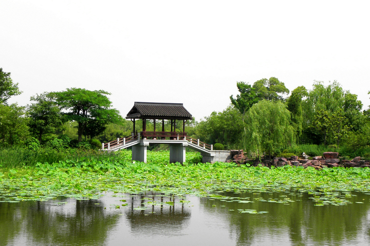 西溪湿地(高庄篇)