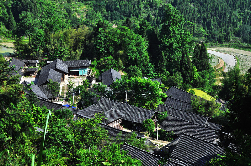 走进下坝村