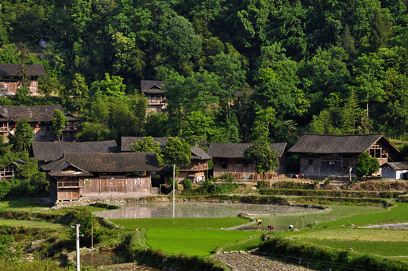 走进下坝村