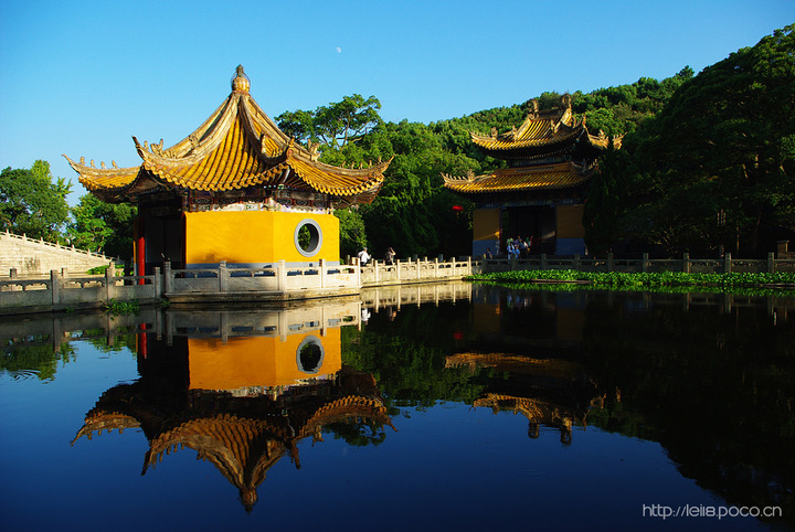 普陀山普济寺导游词3篇