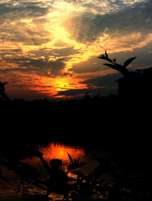 傍晚   夕阳   晚霞