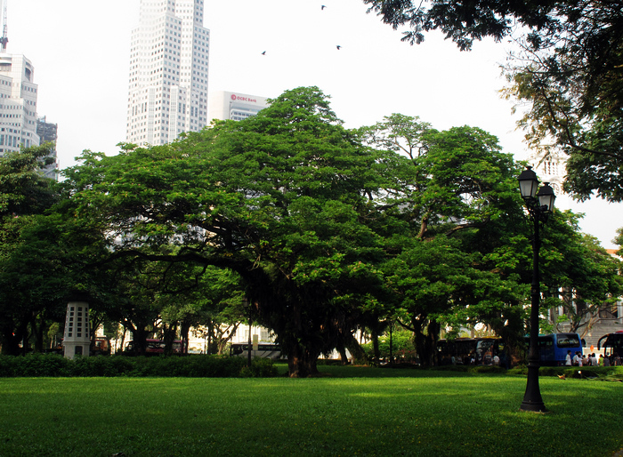 【【花园城市新加坡】--游新马泰(5)摄影图片】