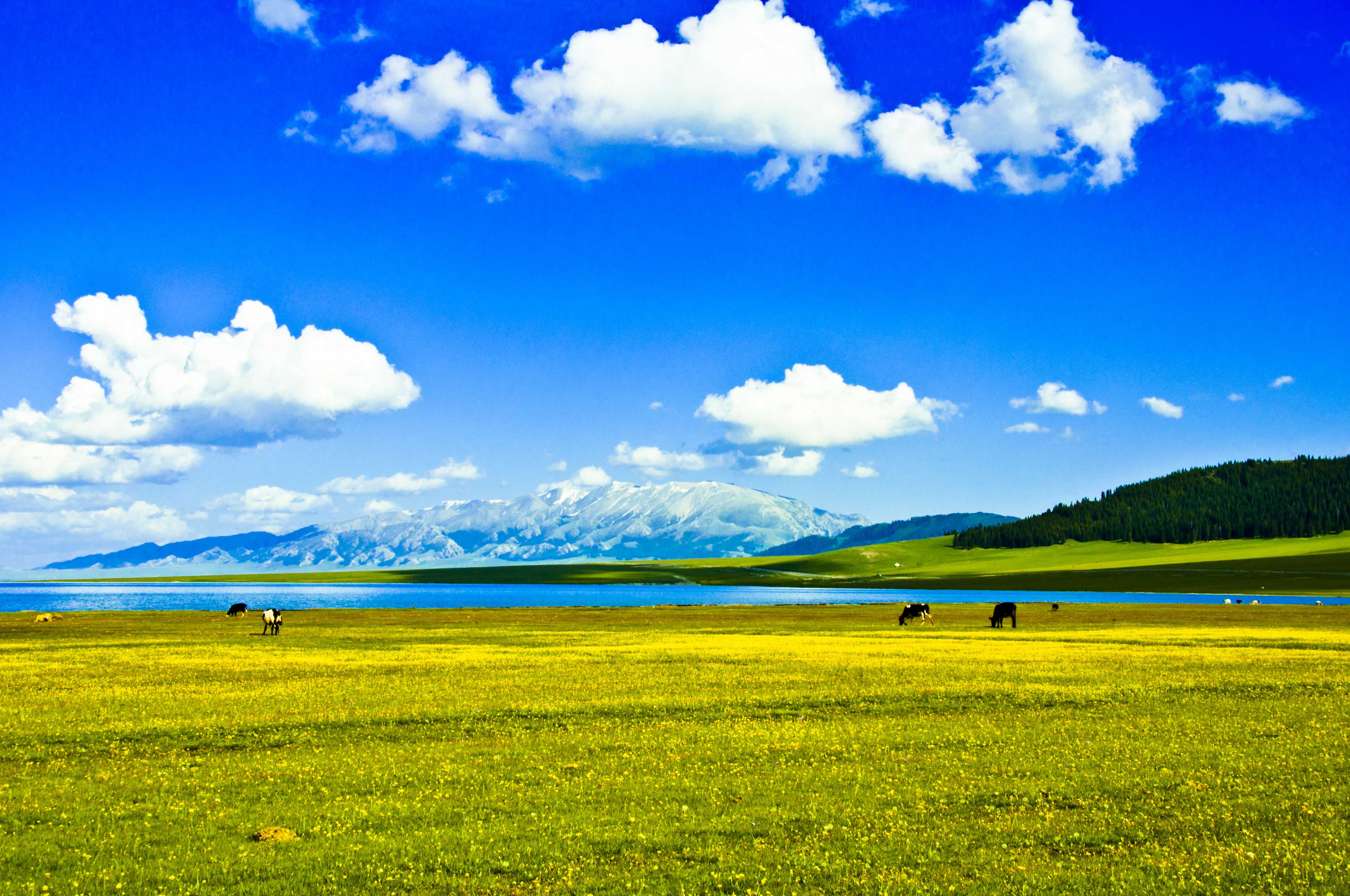 新疆行之赛里木湖|摄影|风光|翱翔晴空 - 原创作品 - 站酷 (ZCOOL)