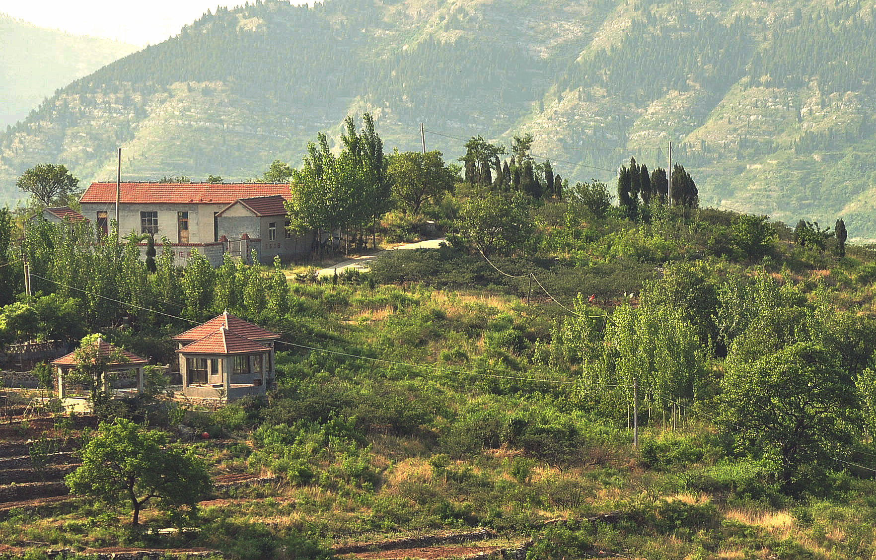 莱芜九龙山森林公园风景照