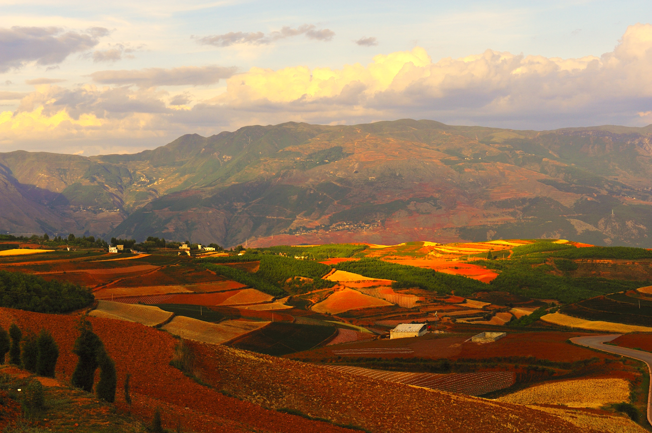 东川红土地大地如画