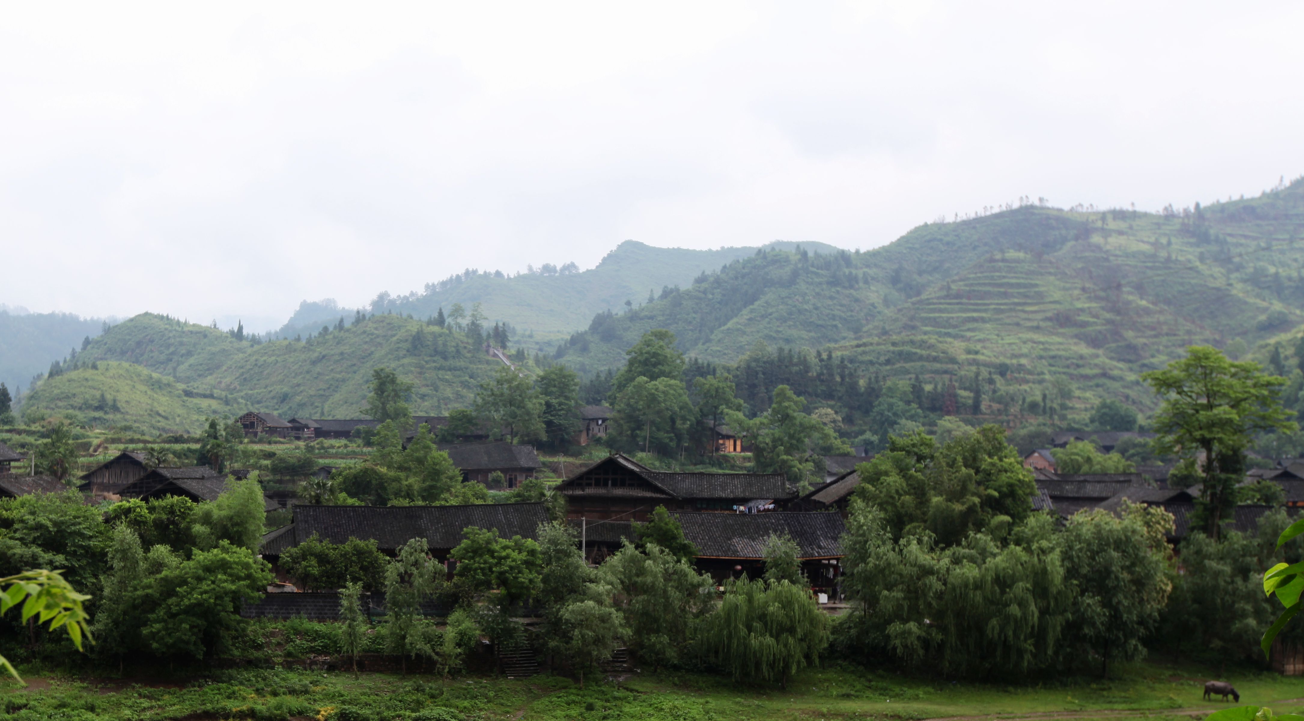 湖南永顺县_湖南永顺县是哪个市