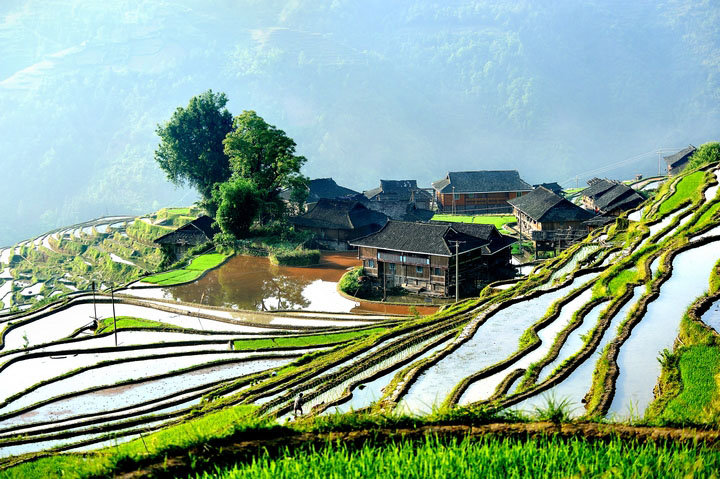 【贵州从江加榜梯田风光摄影图片】贵州风光摄影_太平洋电脑网摄影部落