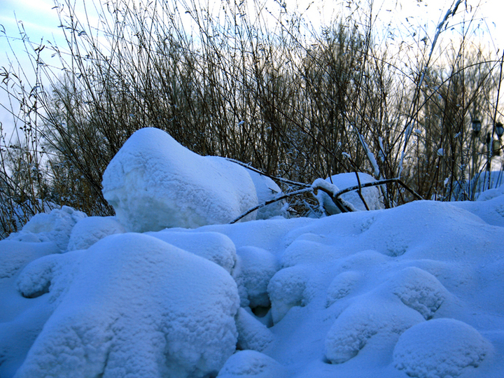 【海拉尔雪景--冬之韵摄影图片】海拉尔风光旅