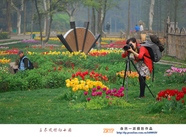 【占尽风情向小园摄影图片】武汉植物园纪实摄