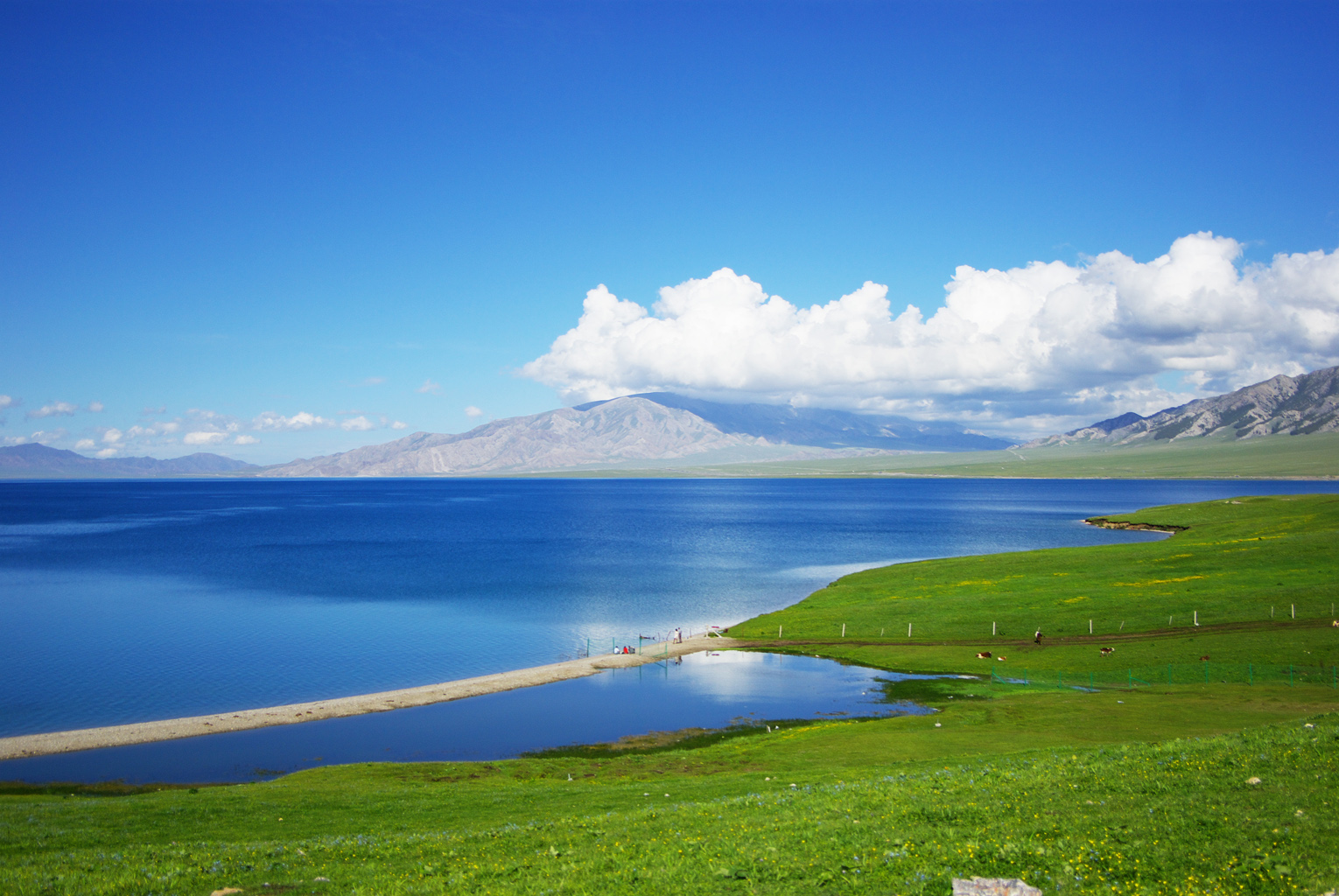 新疆--赛里木湖行摄 - 绝美图库 - 华声论坛