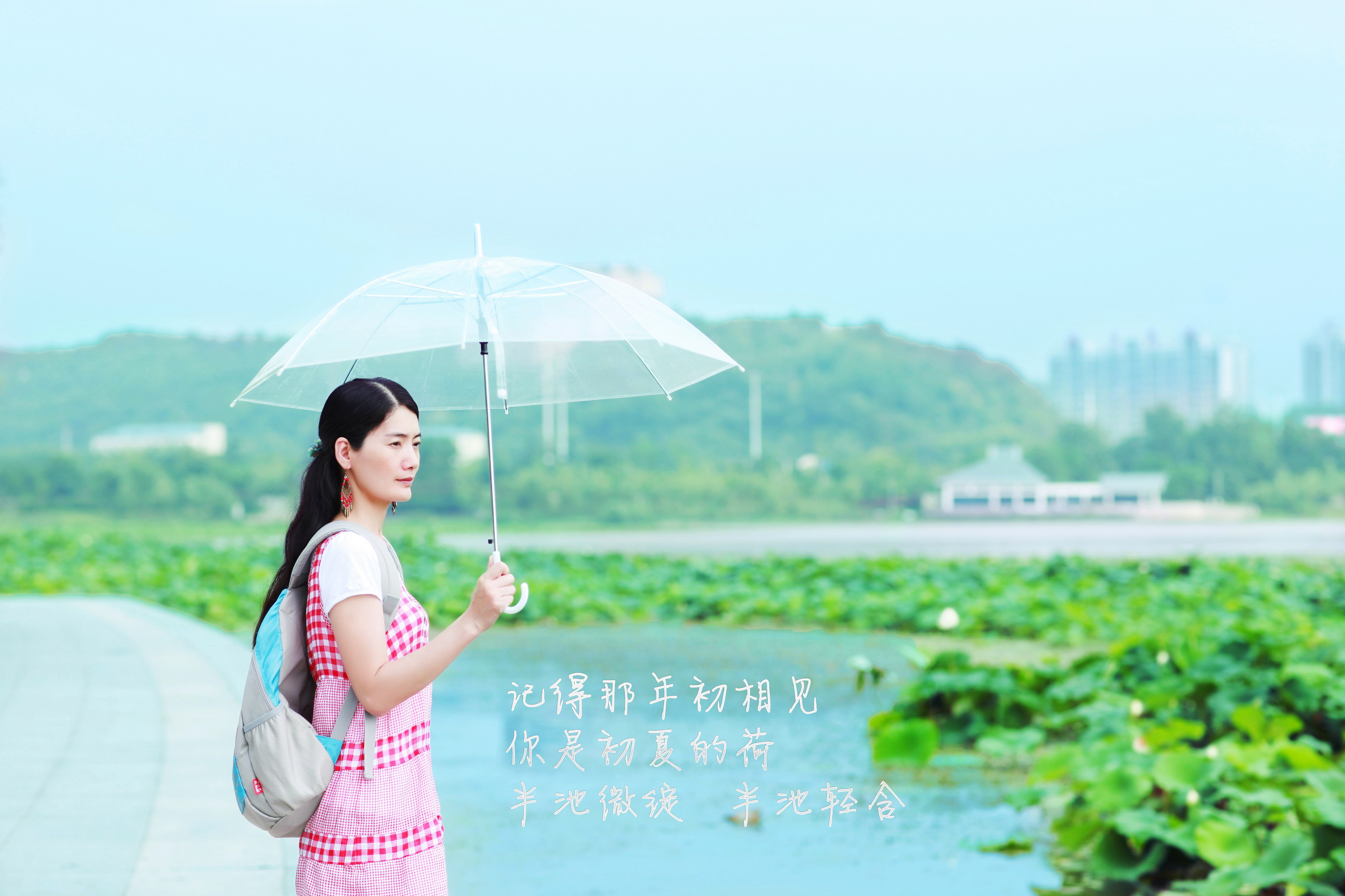 人生若只如初见
