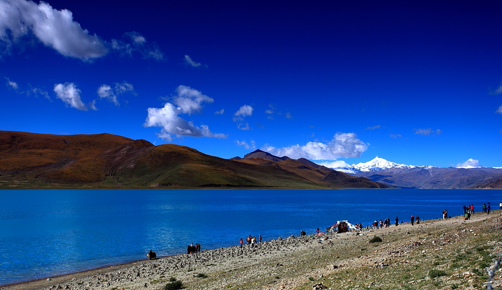 【大美西藏--蓝色梦幻。圣湖羊卓雍措摄影图片