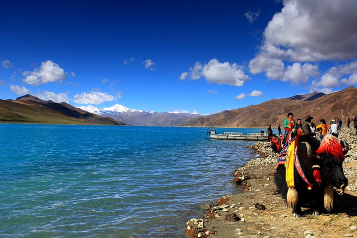 【大美西藏--蓝色梦幻。圣湖羊卓雍措摄影图片