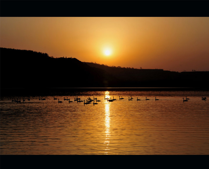 【美丽的天鹅湖摄影图片】山西 平陆 三湾 黄河