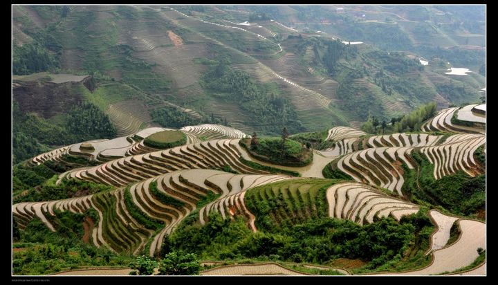 桂林风景(龙脊梯田)