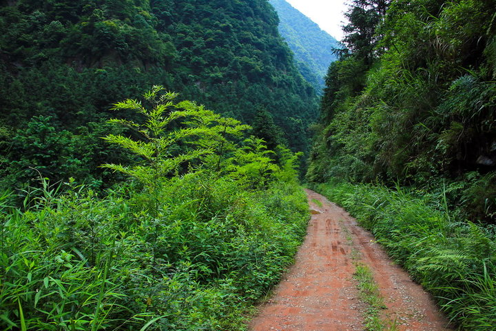 大山深处