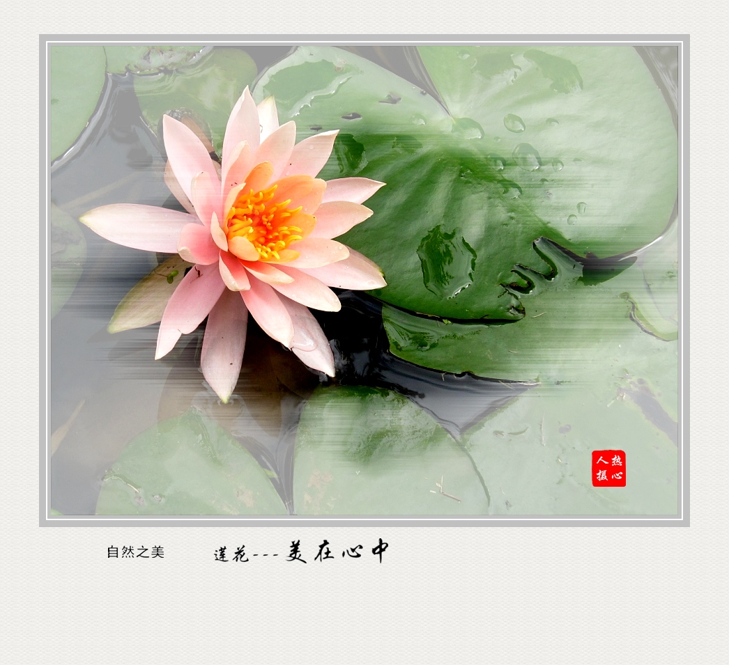美在心中