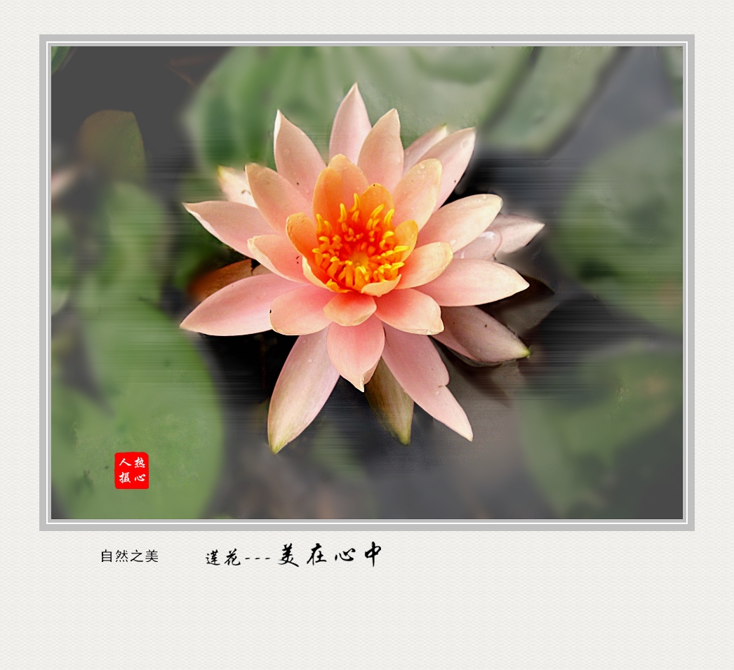 美在心中