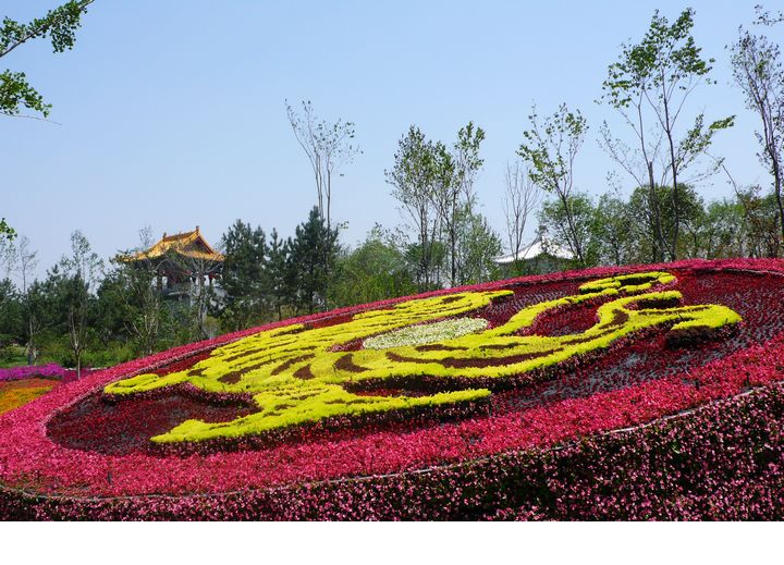 西安世博园花絮