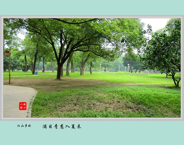 【满目青葱入夏来摄影图片】武汉市解放公园纪实摄影_太平洋电脑网