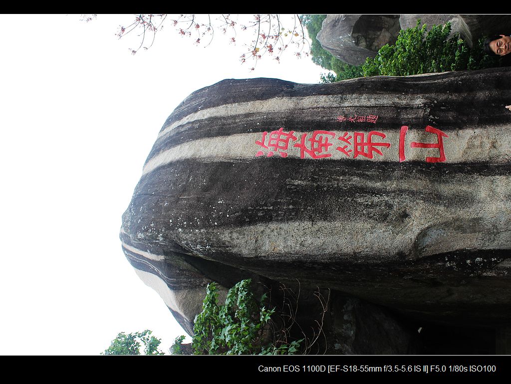 成语"东山再起"的东山走拍