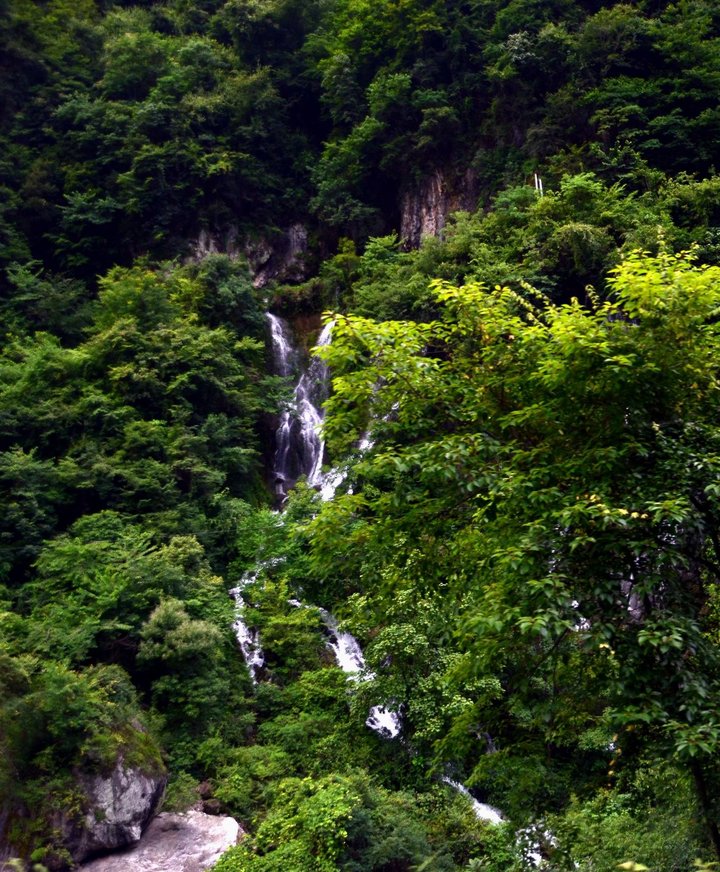 神农架风景