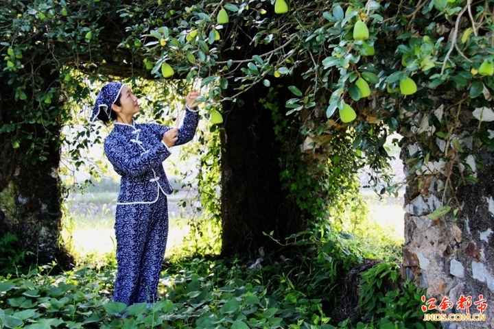 勤劳能干的围屋女人(侧光)