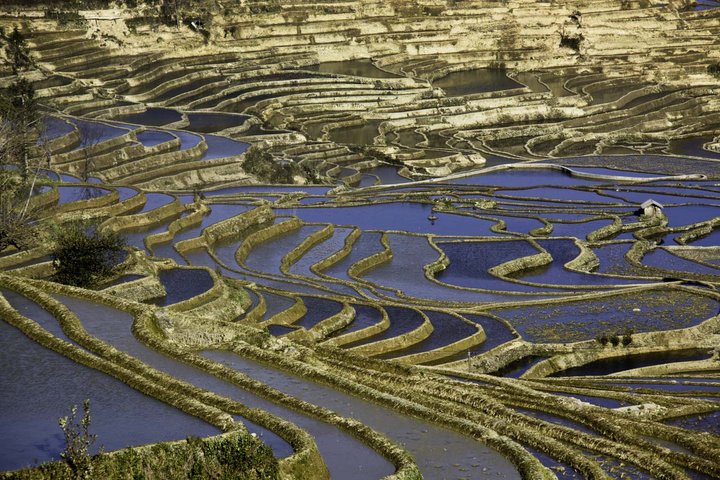 七彩梯田