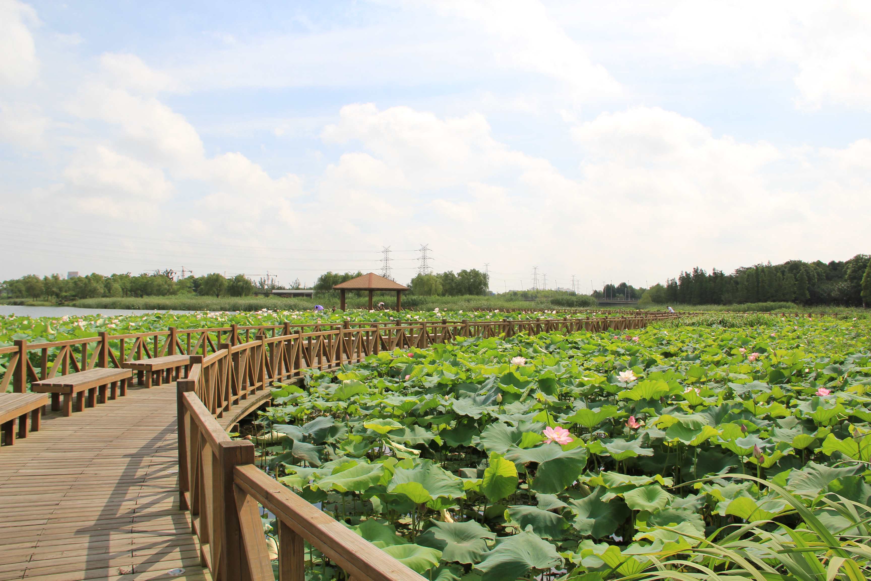 遇见宁夏“新”沙湖 花样玩法嗨翻天__凤凰网