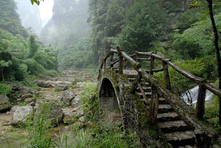 秭归泗溪三峡竹海