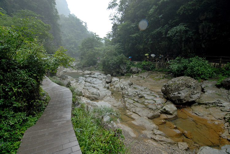 秭归泗溪三峡竹海