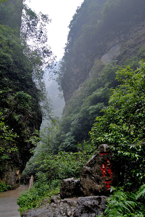 秭归泗溪三峡竹海