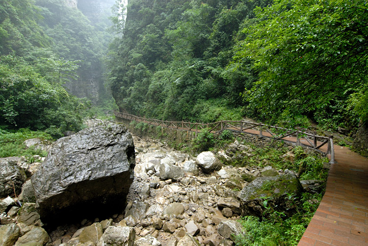 秭归泗溪三峡竹海