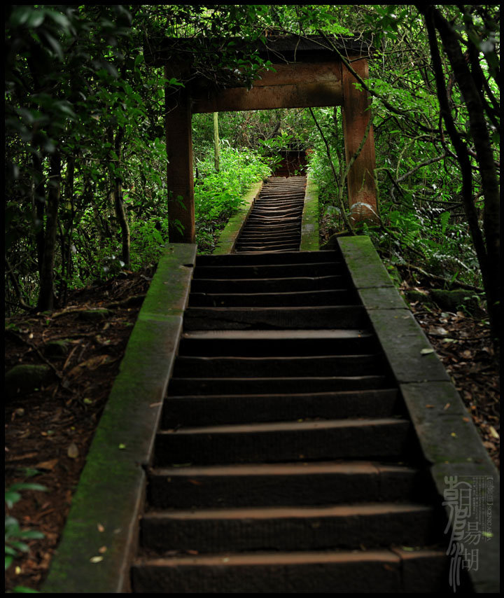 【朝阳湖景区-风景摄影图片】朝阳湖景区生态