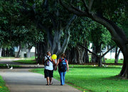 ̴԰ Ala moana Beach Park