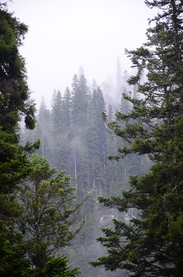 九寨沟雨景