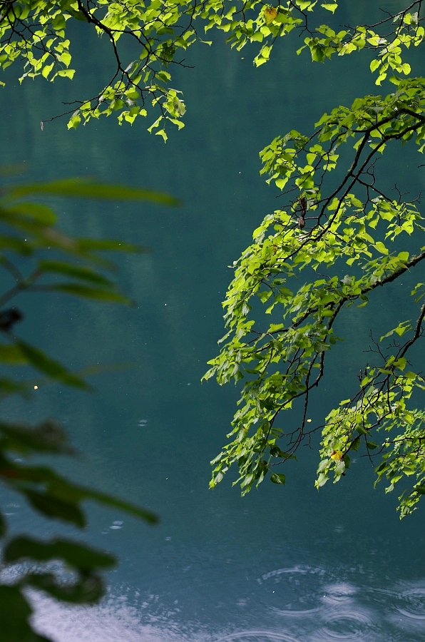 九寨沟雨景