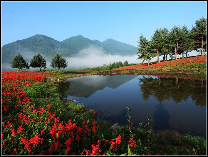 重庆巫溪红池坝国家森林公园随拍