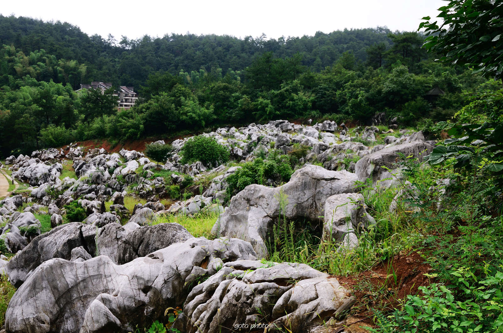 瑶琳国家森林公园全景