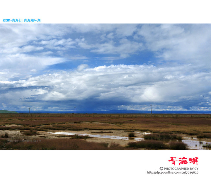 【八月初的青海湖摄影图片】青海湖周边风光旅