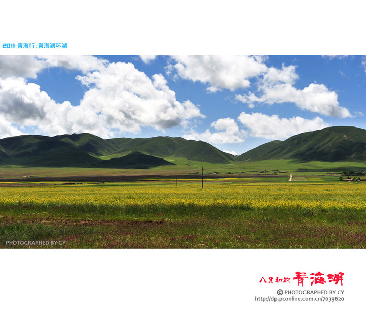 【八月初的青海湖摄影图片】青海湖周边风光旅