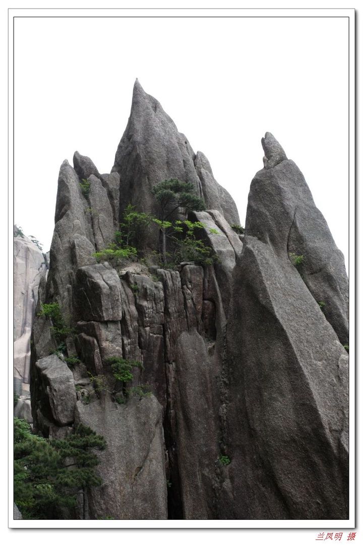 【黄山--怪石摄影图片】安徽省黄山市纪实全部