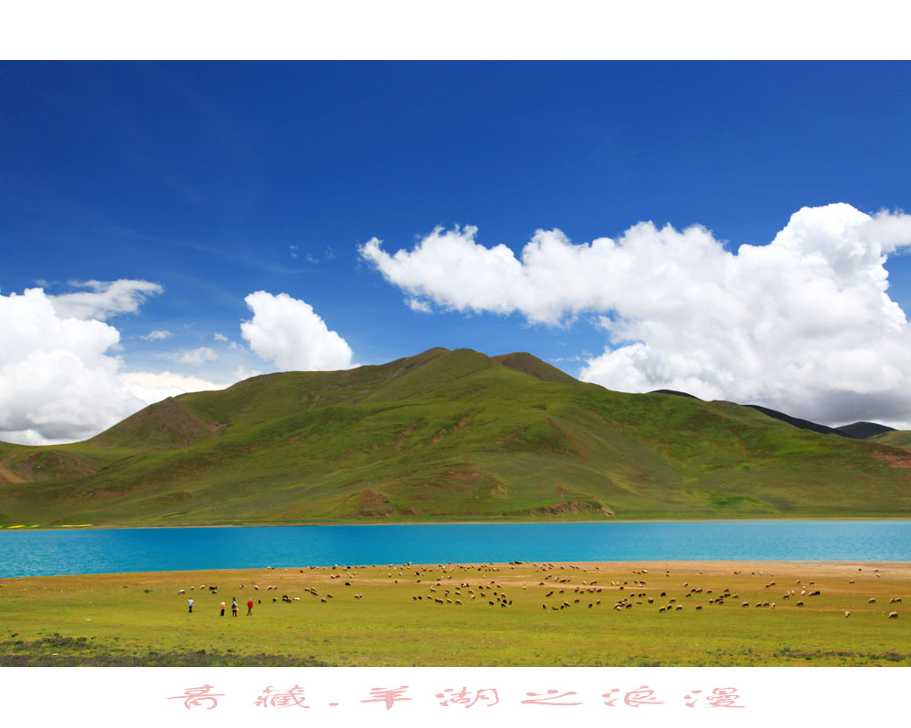 青藏羊湖之浪漫
