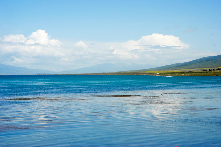 美丽青海湖