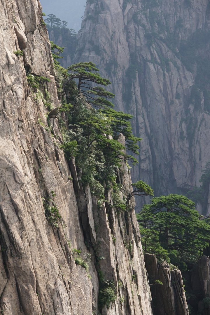 【黄山奇松摄影图片】黄山风光旅游摄影