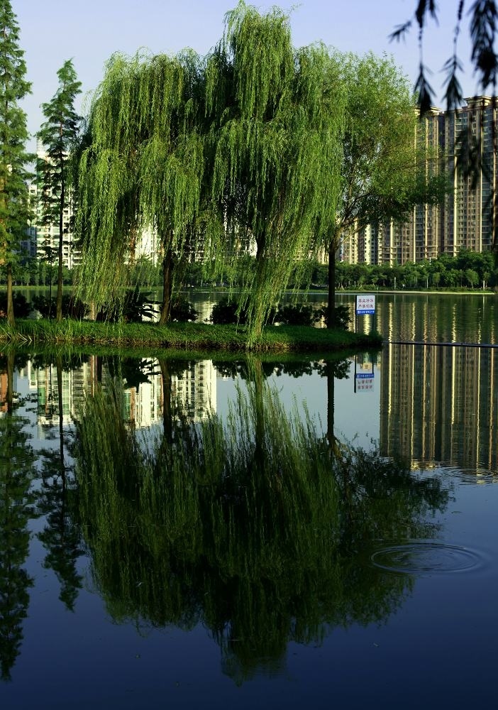 夏日公园