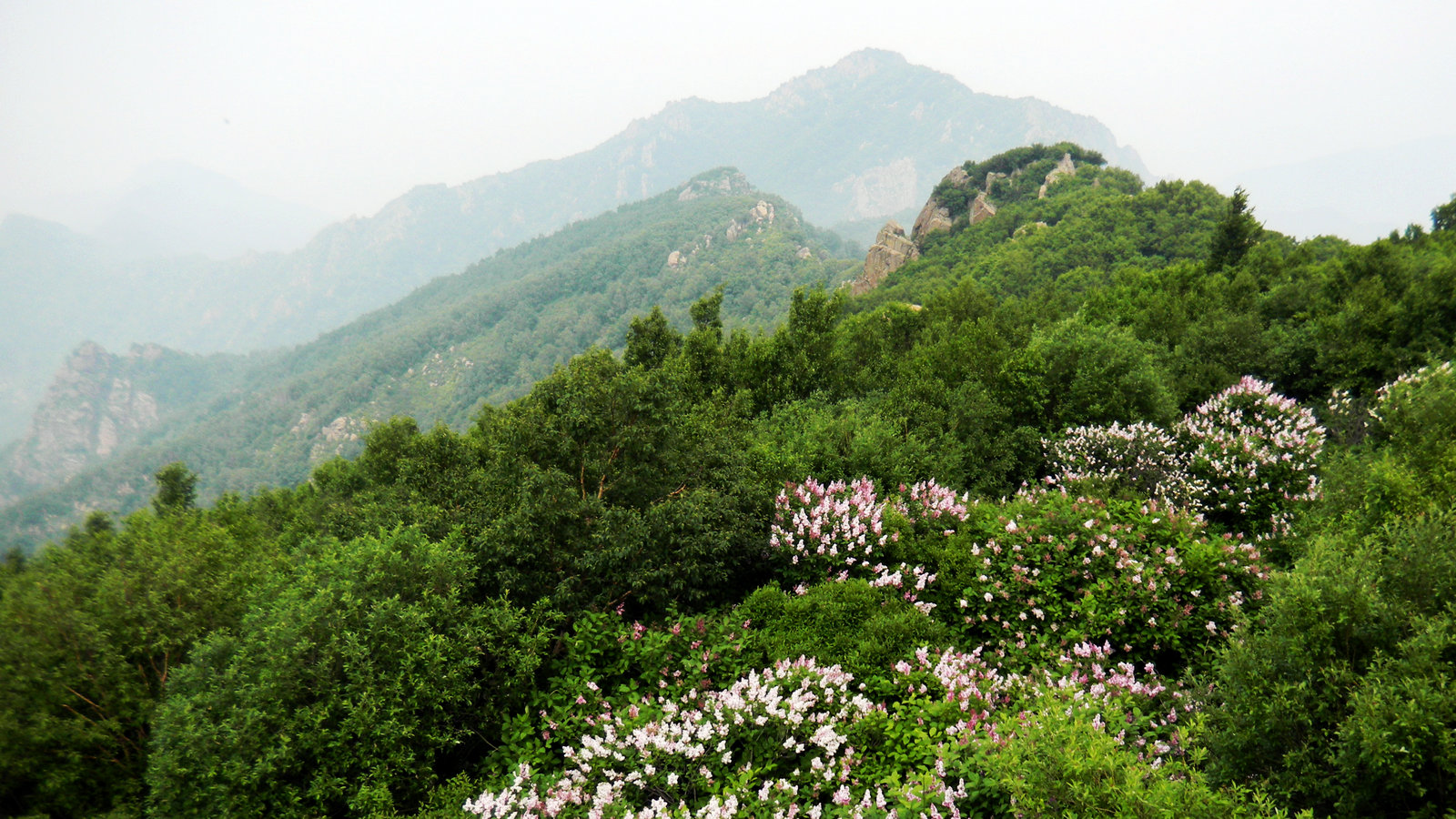 【百花山摄影图片】北京门头沟区百花山景区风光摄影