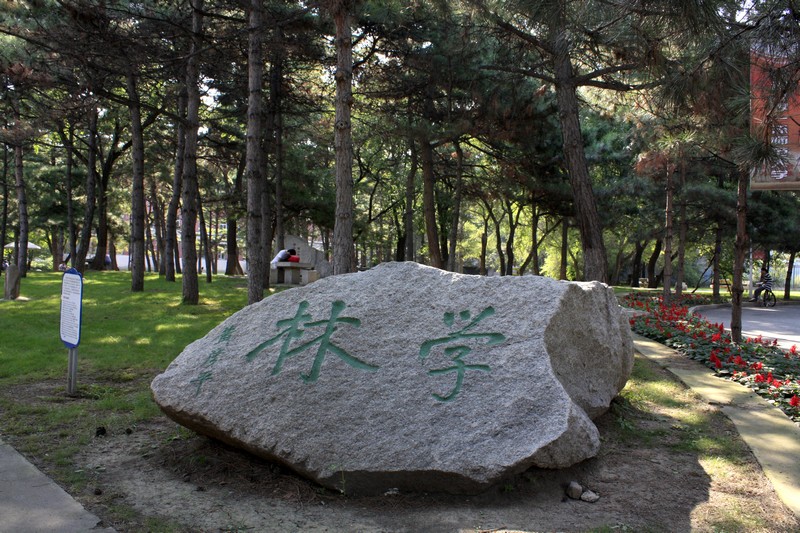 东北师大校园